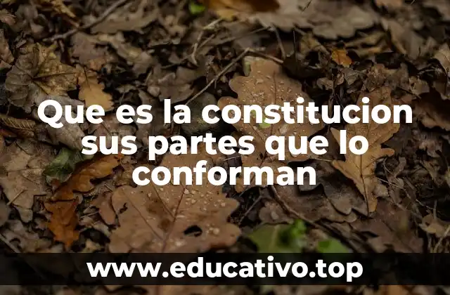 Que es la constitucion sus partes que lo conforman