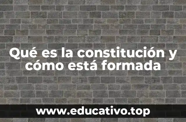 Qué es la constitución y cómo está formada