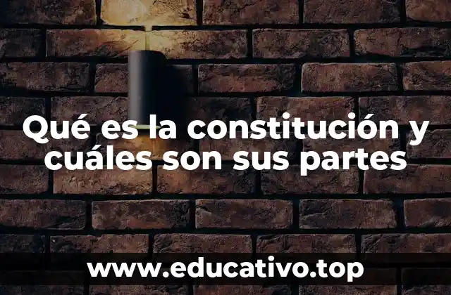 Qué es la constitución y cuáles son sus partes