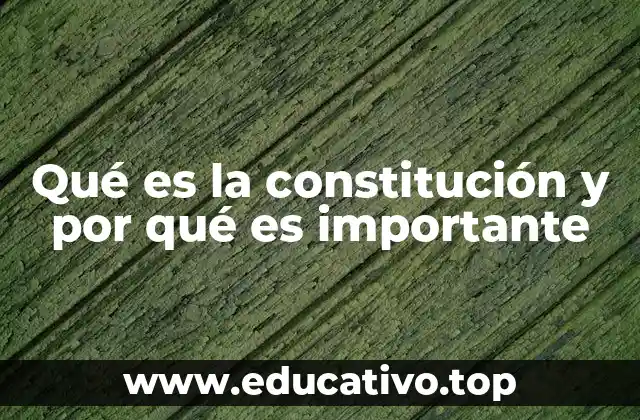 Qué es la constitución y por qué es importante