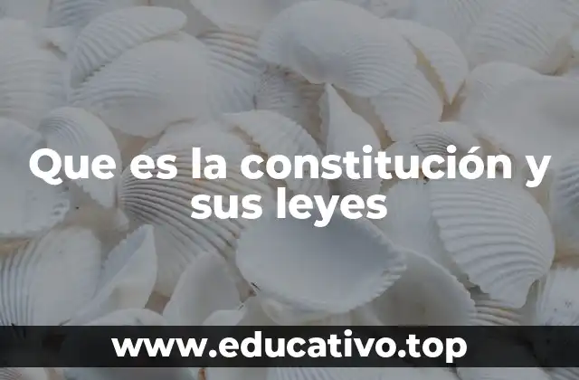 Que es la constitución y sus leyes