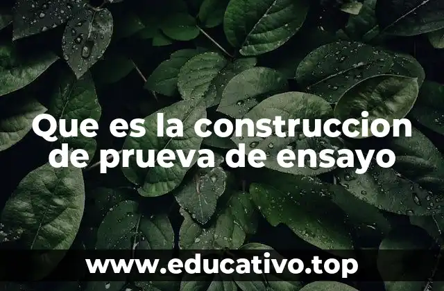 Que es la construccion de prueva de ensayo