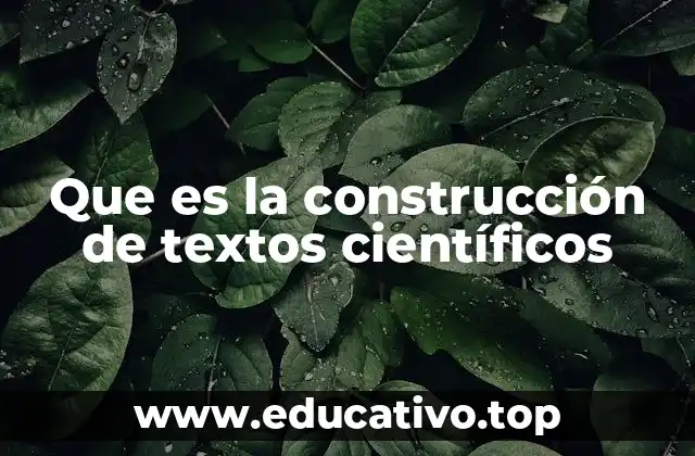Que es la construcción de textos científicos