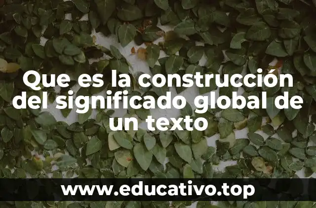 Que es la construcción del significado global de un texto