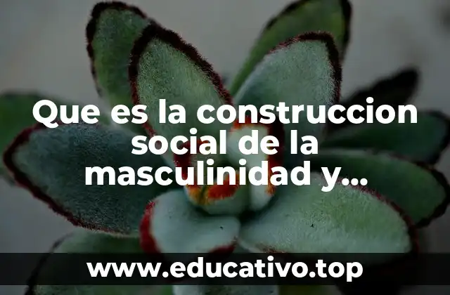 Que es la construccion social de la masculinidad y feminidad