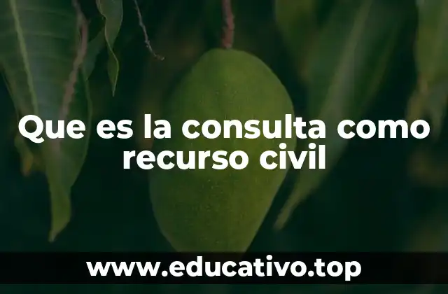 Que es la consulta como recurso civil