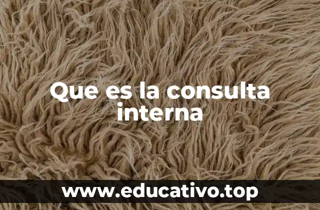 Que es la consulta interna
