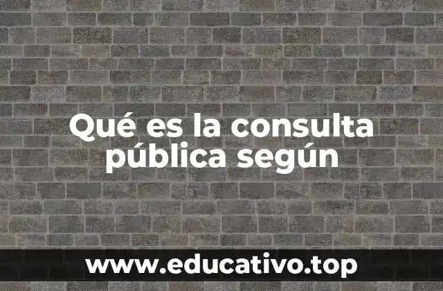Qué es la consulta pública según