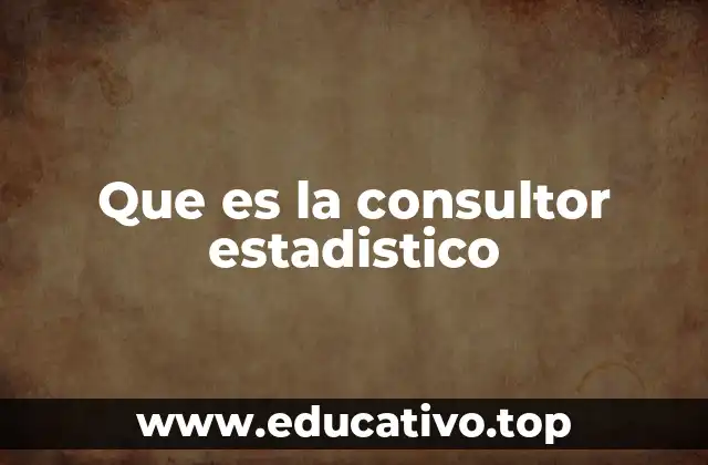 Que es la consultor estadistico