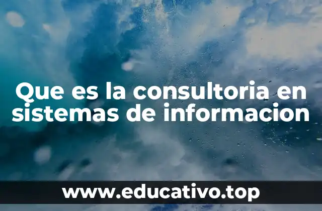 Que es la consultoria en sistemas de informacion