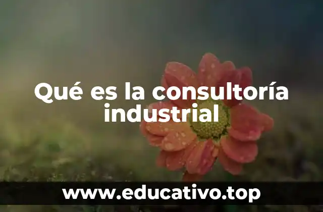 Qué es la consultoría industrial