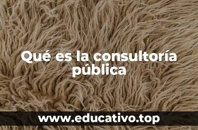 Qué es la consultoría pública