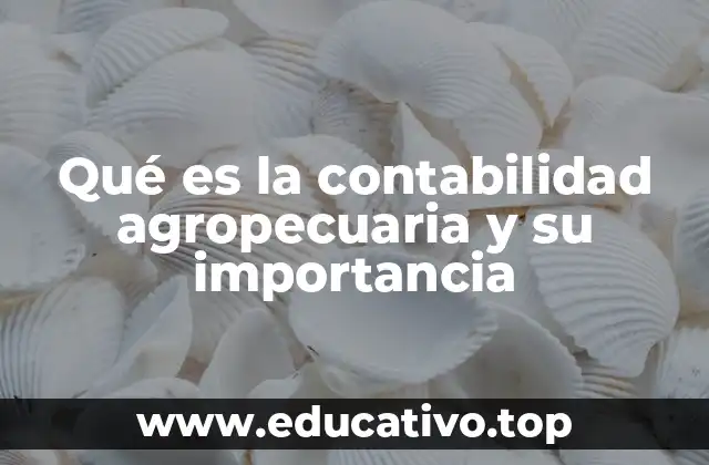 Qué es la contabilidad agropecuaria y su importancia