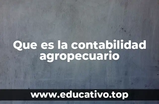 Que es la contabilidad agropecuario