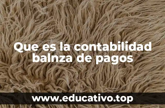 Que es la contabilidad balnza de pagos