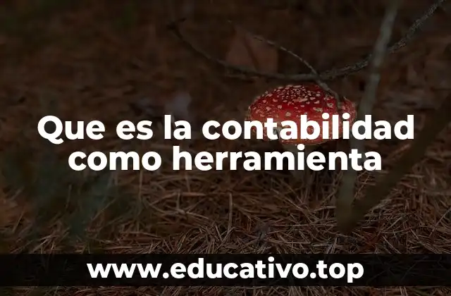 Que es la contabilidad como herramienta