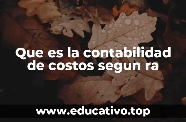 Que es la contabilidad de costos segun ra
