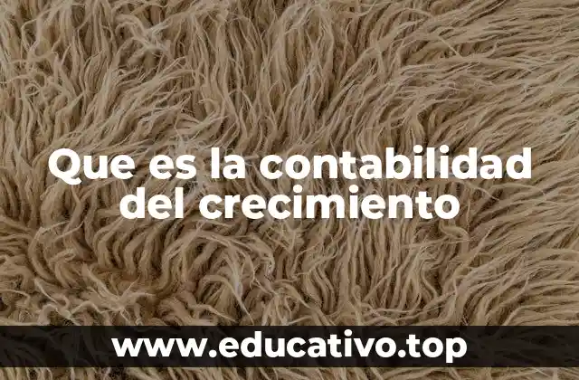 Que es la contabilidad del crecimiento