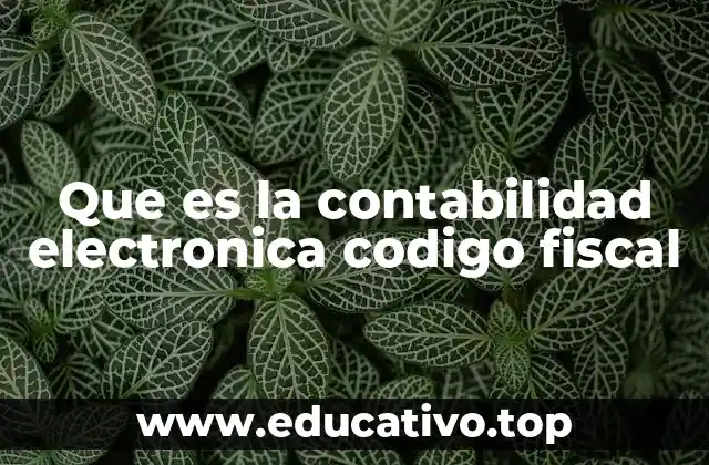 Que es la contabilidad electronica codigo fiscal