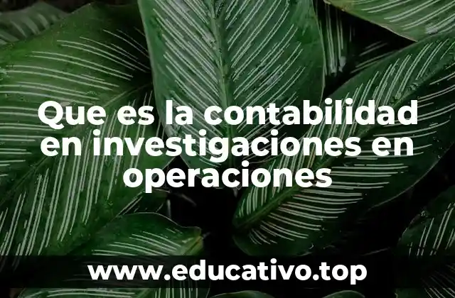 Que es la contabilidad en investigaciones en operaciones