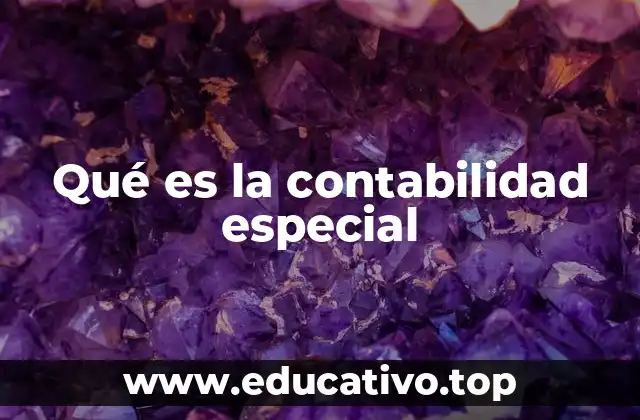 Qué es la contabilidad especial