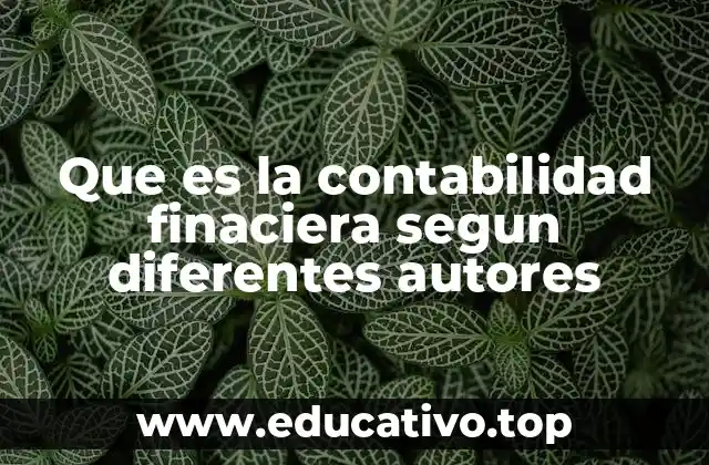 Que es la contabilidad finaciera segun diferentes autores