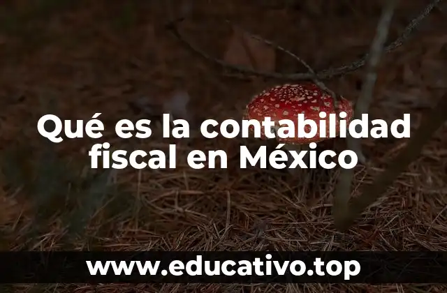 Qué es la contabilidad fiscal en México