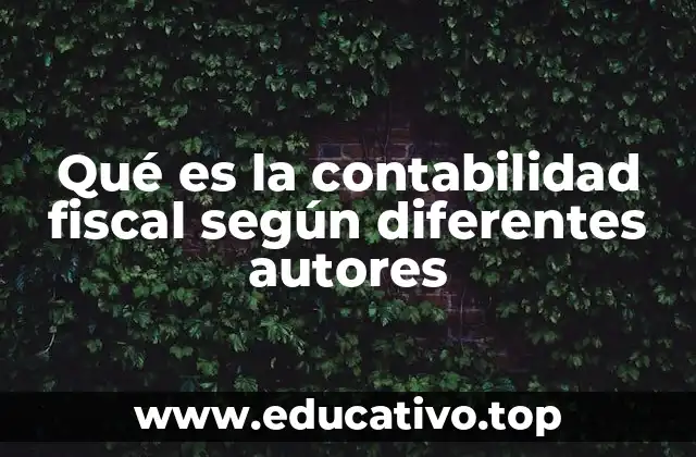 Qué es la contabilidad fiscal según diferentes autores