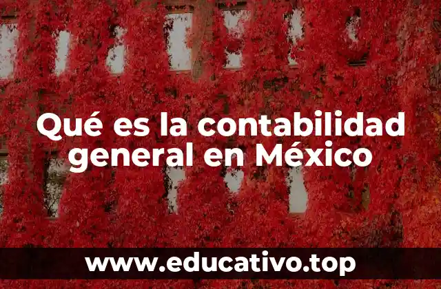 Qué es la contabilidad general en México