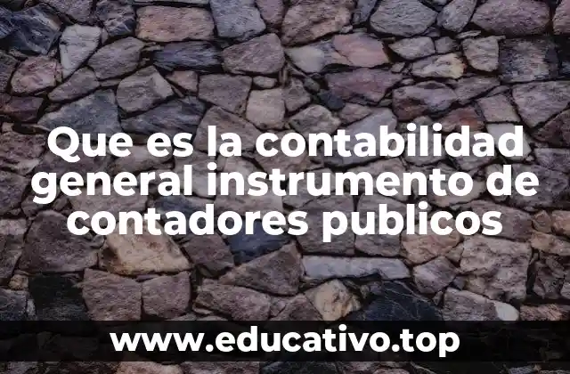 Que es la contabilidad general instrumento de contadores publicos