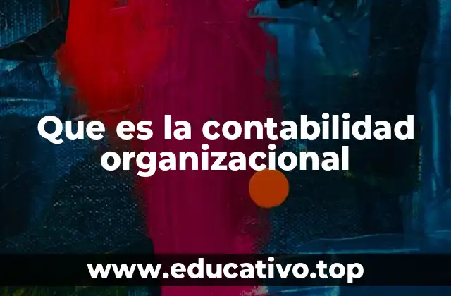 Que es la contabilidad organizacional