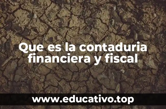 Que es la contaduria financiera y fiscal
