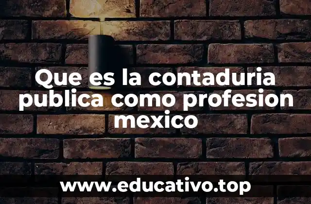 Que es la contaduria publica como profesion mexico