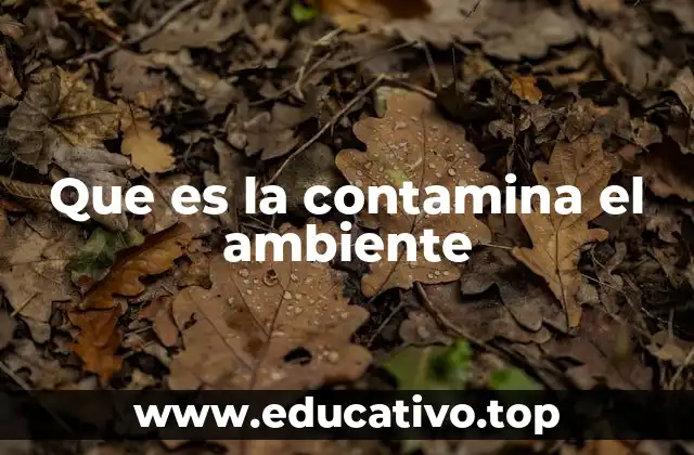 Que es la contamina el ambiente