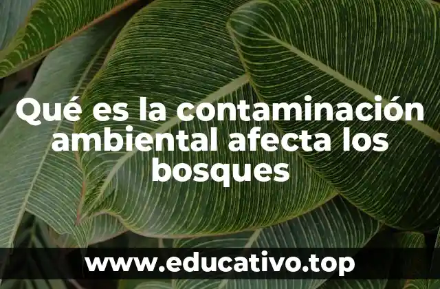 El impacto invisible de la contaminación sobre la biodiversidad forestal