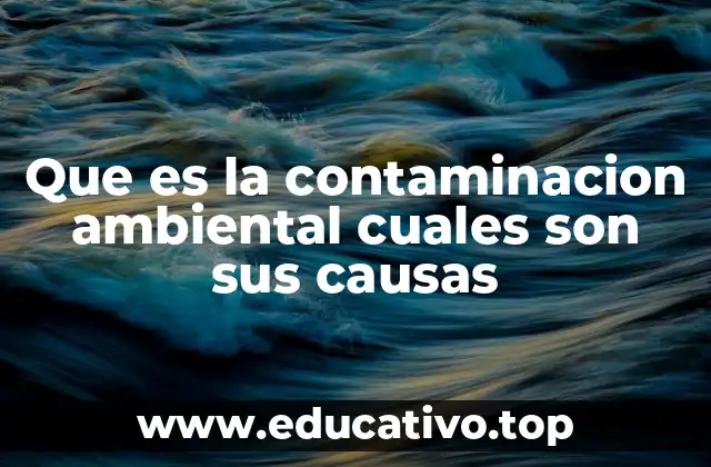 Que es la contaminacion ambiental cuales son sus causas