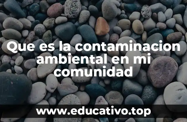 Que es la contaminacion ambiental en mi comunidad