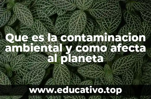 Que es la contaminacion ambiental y como afecta al planeta
