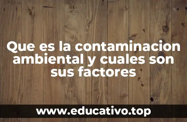 Que es la contaminacion ambiental y cuales son sus factores