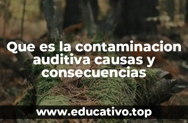Que es la contaminacion auditiva causas y consecuencias