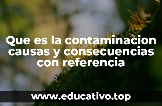 Que es la contaminacion causas y consecuencias con referencia