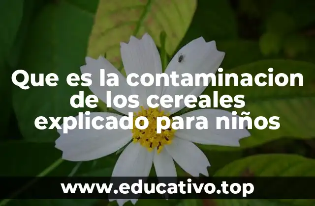 Que es la contaminacion de los cereales explicado para niños