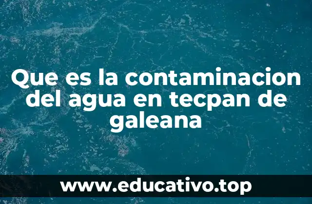 Que es la contaminacion del agua en tecpan de galeana