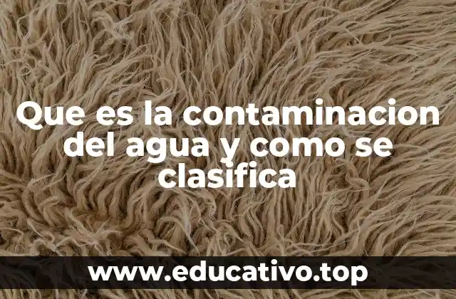 Causas y fuentes de contaminación del agua