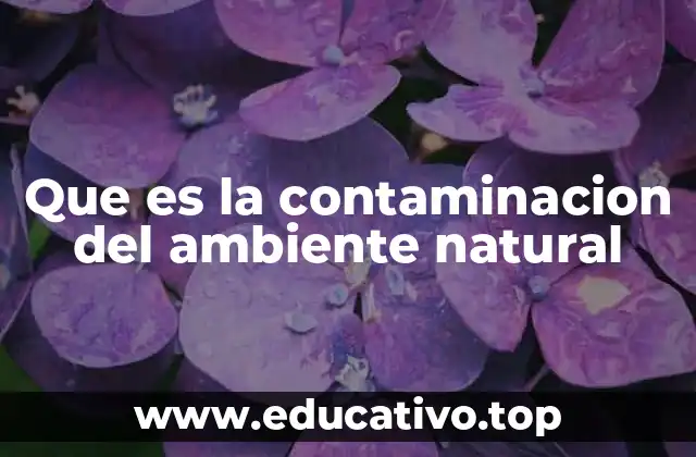Que es la contaminacion del ambiente natural