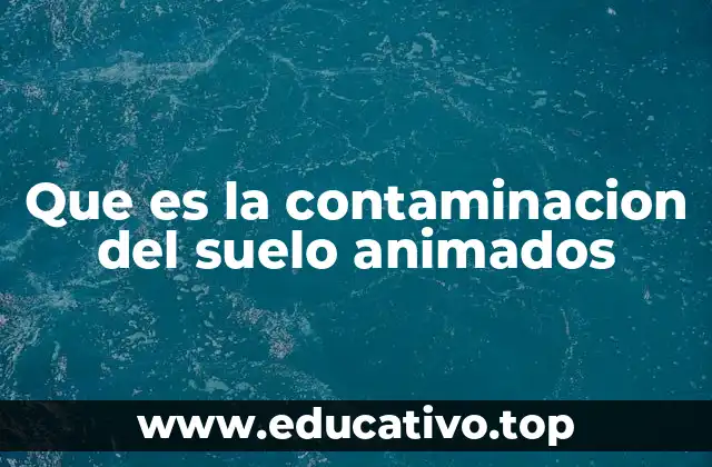 Que es la contaminacion del suelo animados
