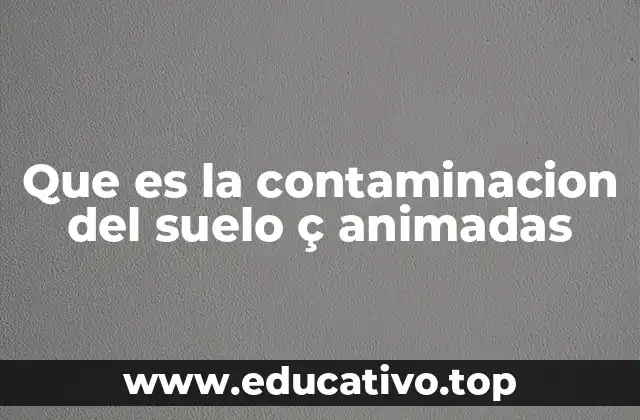 Que es la contaminacion del suelo ç animadas
