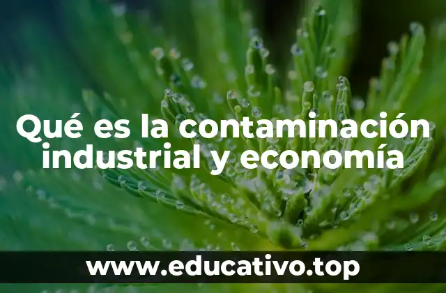 Qué es la contaminación industrial y economía