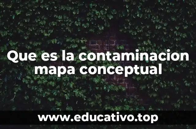 Que es la contaminacion mapa conceptual