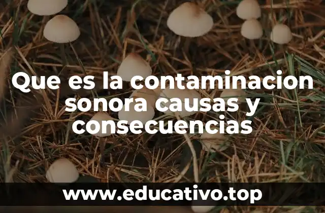 Que es la contaminacion sonora causas y consecuencias